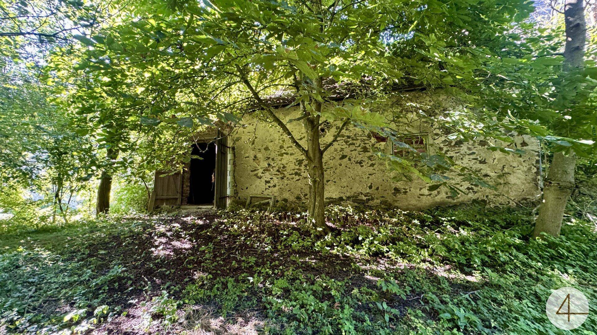 Kleines, altes Steingebäude mit Holztür, umgeben von Bäumen und dichter Vegetation.