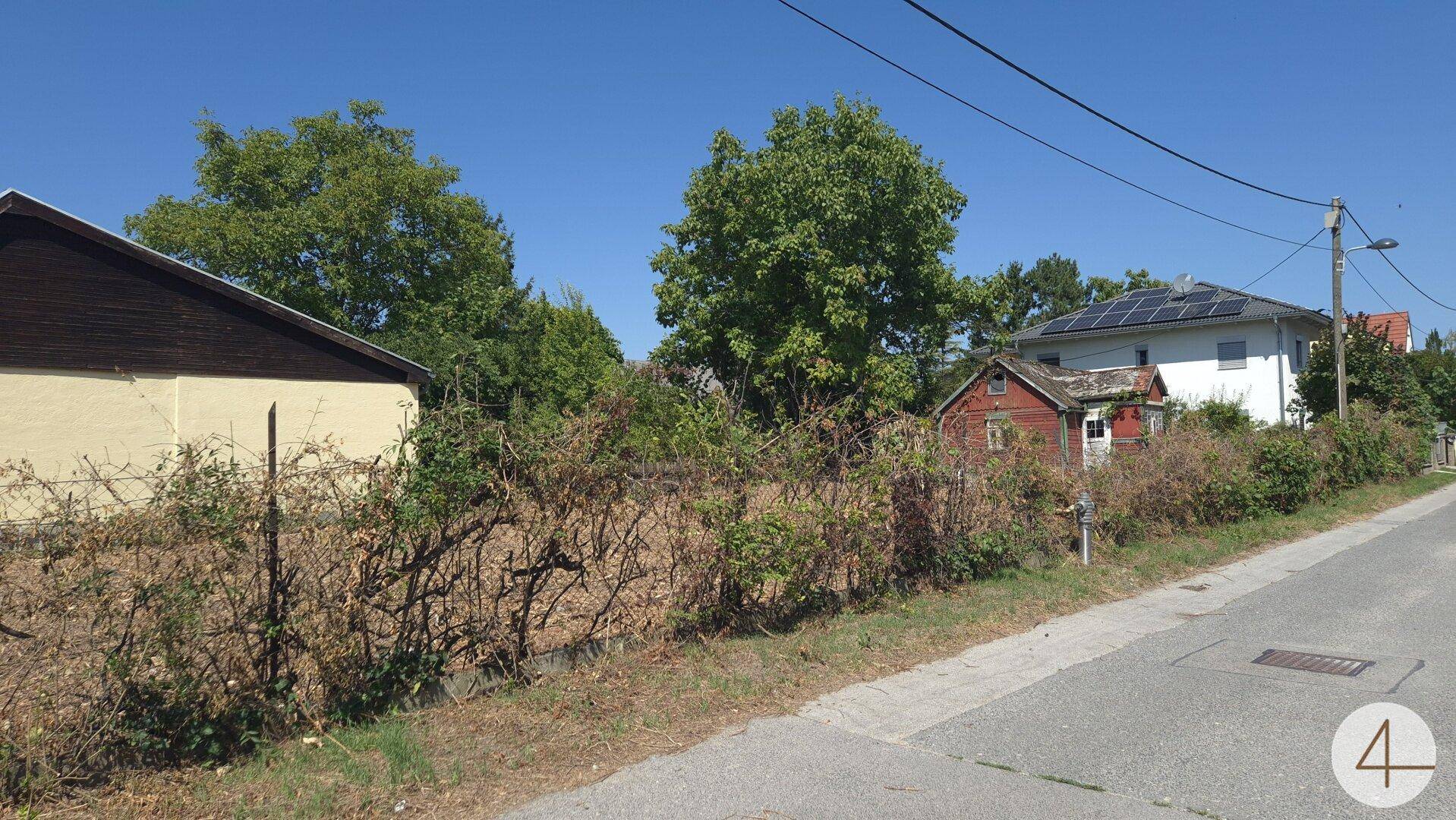 Slide 6