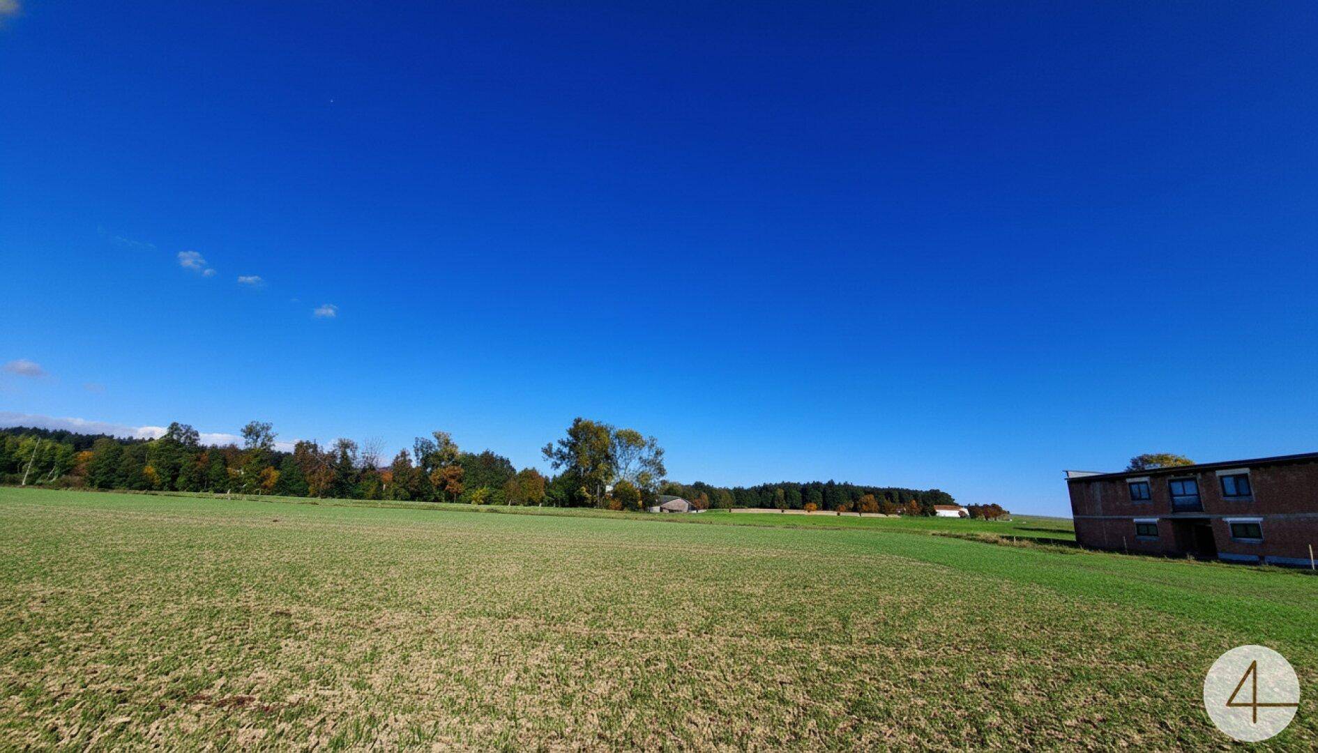 Grünes Feld unter blauem Himmel mit Bäumen und einem Gebäude am Horizont.