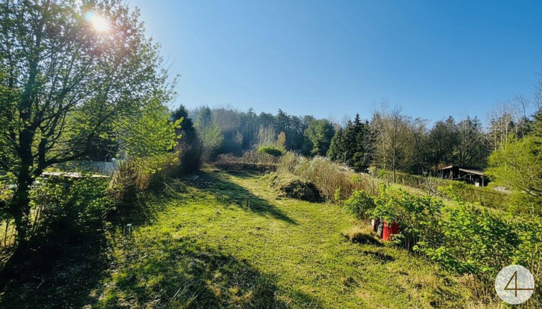 Stadtvilla mit parkartigen Garten - 1953m² Grundstücksfläche - direkt am Bisamberg - privat Zugang zum Wald - Grünblick - Ruhelage - Mehr