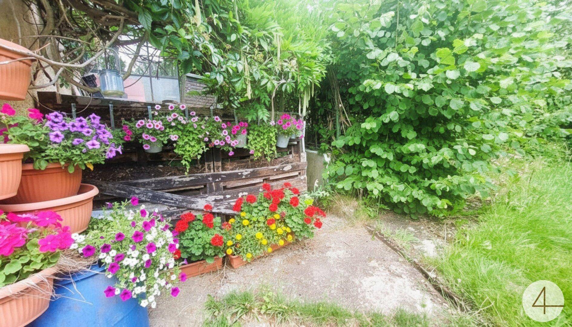 Bunter Gartenbereich mit vielen Topfpflanzen und üppigem Grün.