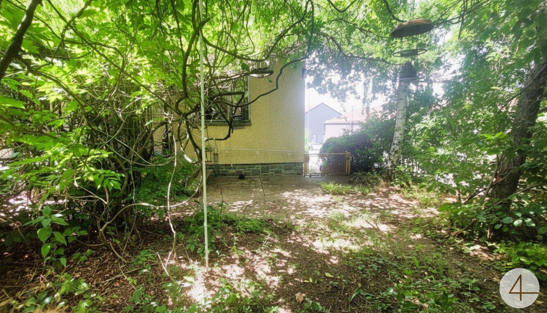 Naturbelassener Gartenbereich mit dichtem Bewuchs und einem kleinen Pfad.