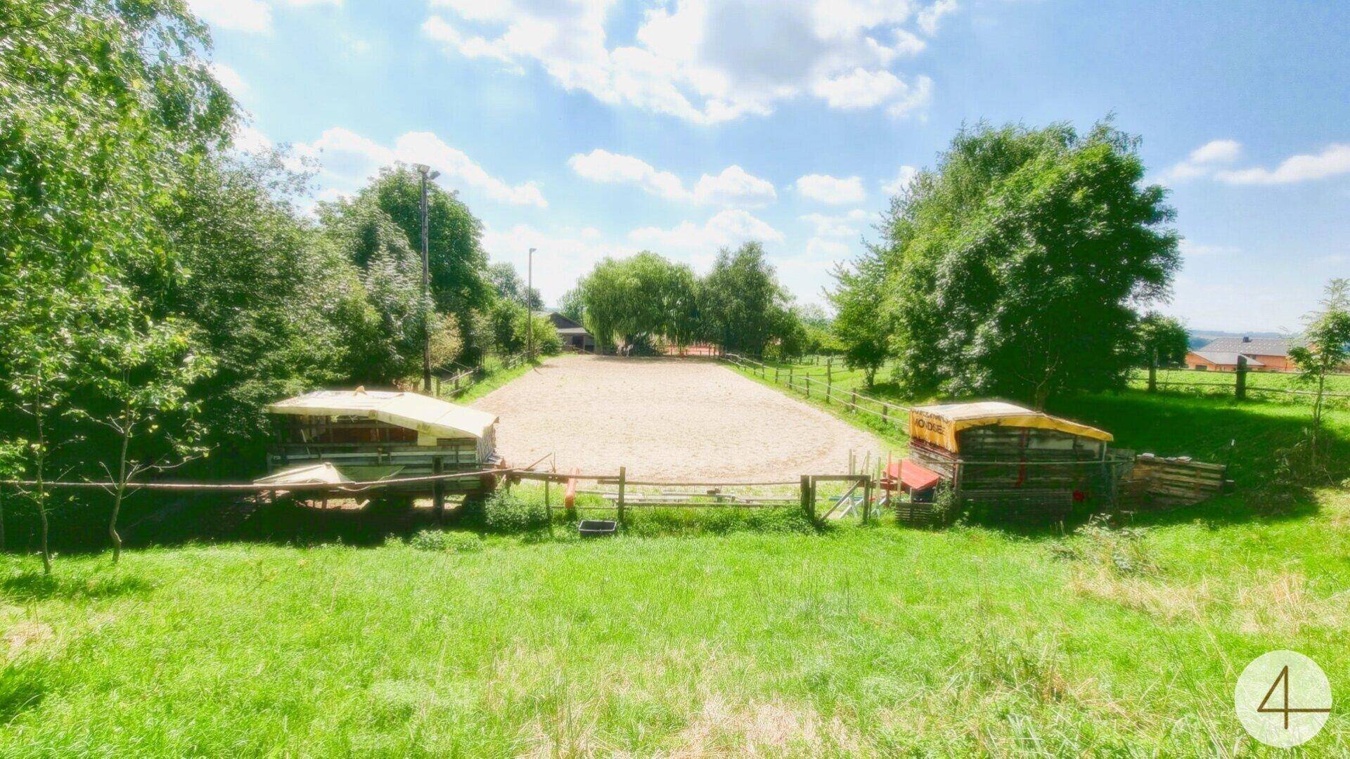 Großer Reitplatz mit Sandboden, umgeben von grünen Bäumen und kleinen Unterständen.