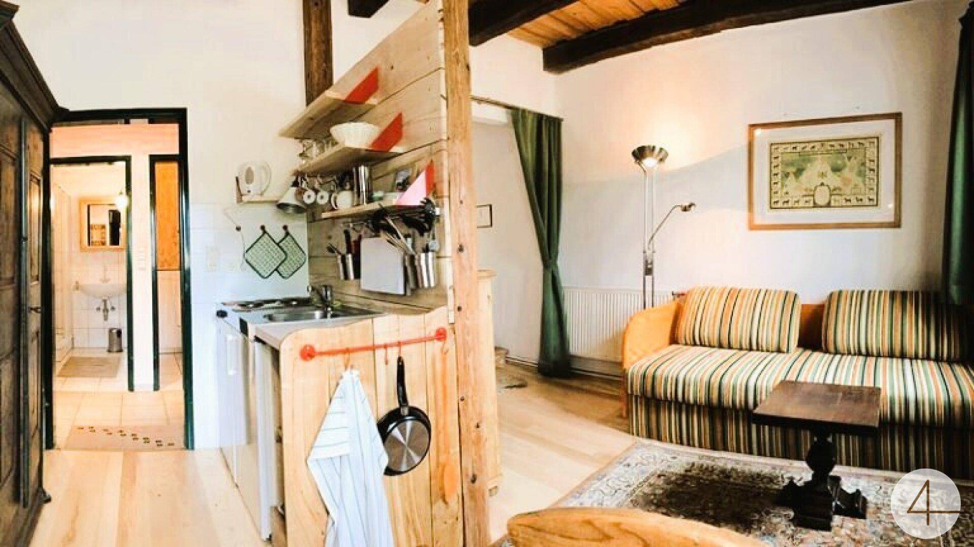Gemütliches Studio-Apartment mit kleiner Küchenzeile, Schlafsofa und Holzboden.