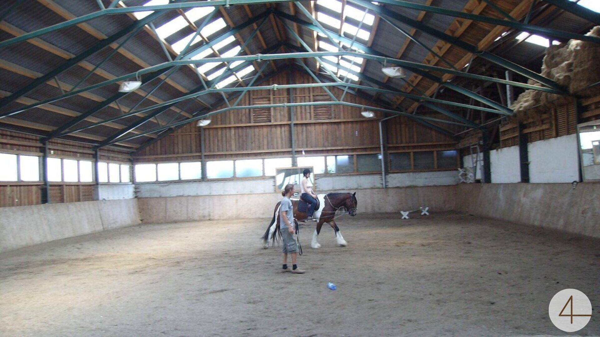 Große Reithalle mit Sandboden, Oberlichtern und Holzwänden, ideal für Pferdetraining.