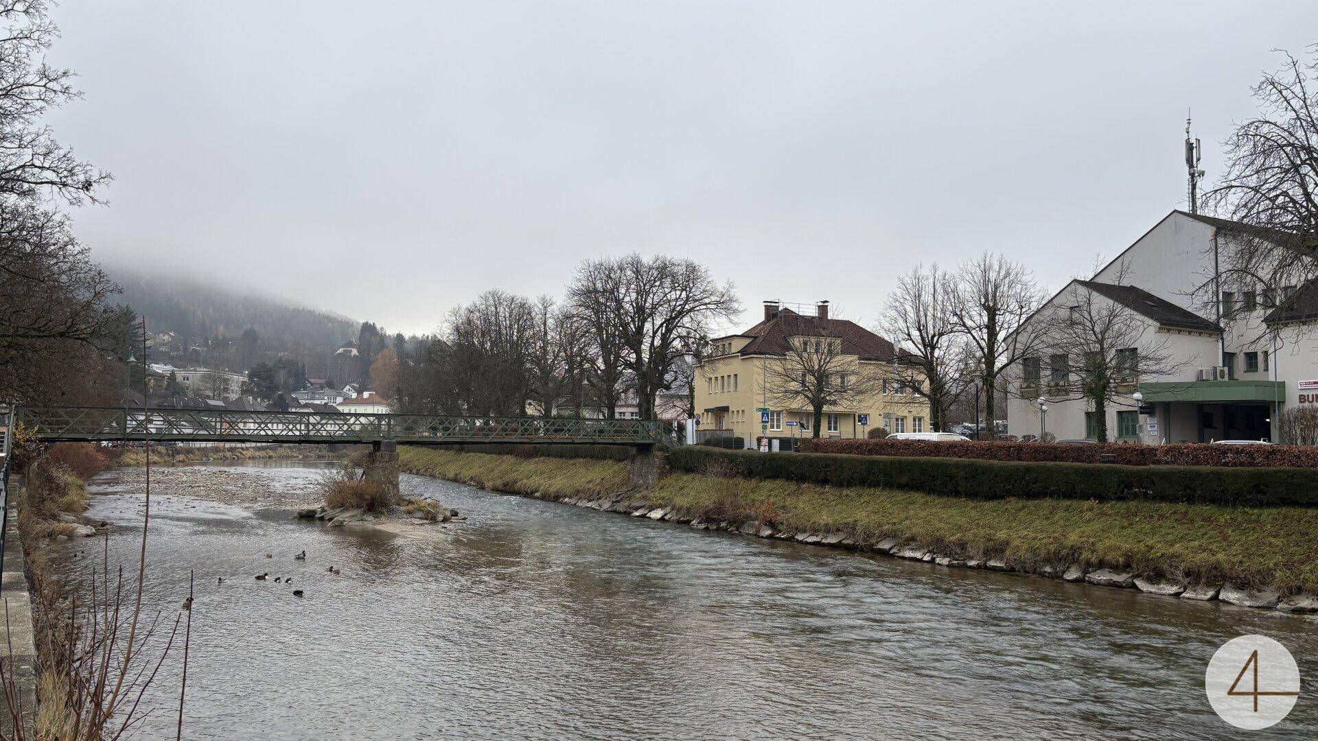Flusslandschaft mit einer Brücke, Bäumen und Gebäuden im Hintergrund unter bewölktem Himmel.
