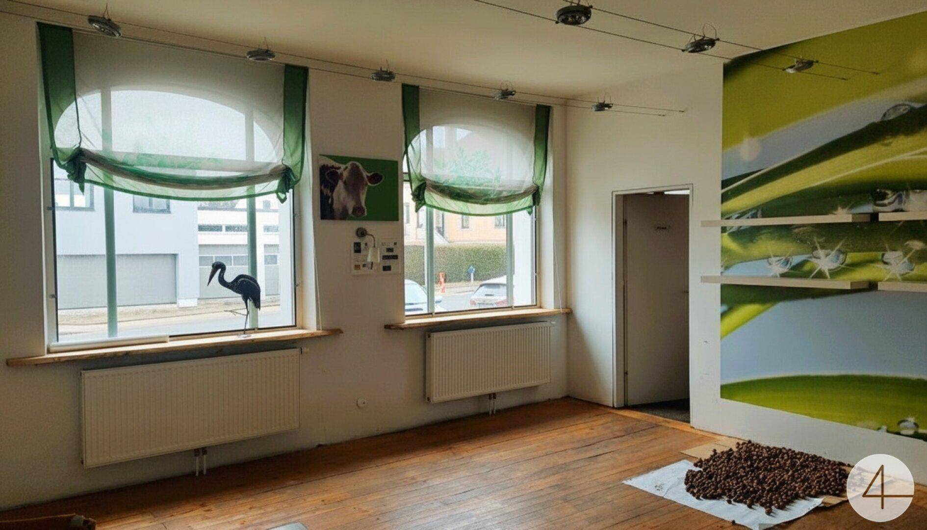 Heller Wohnraum mit zwei großen Fenstern, Heizkörpern und Holzboden.