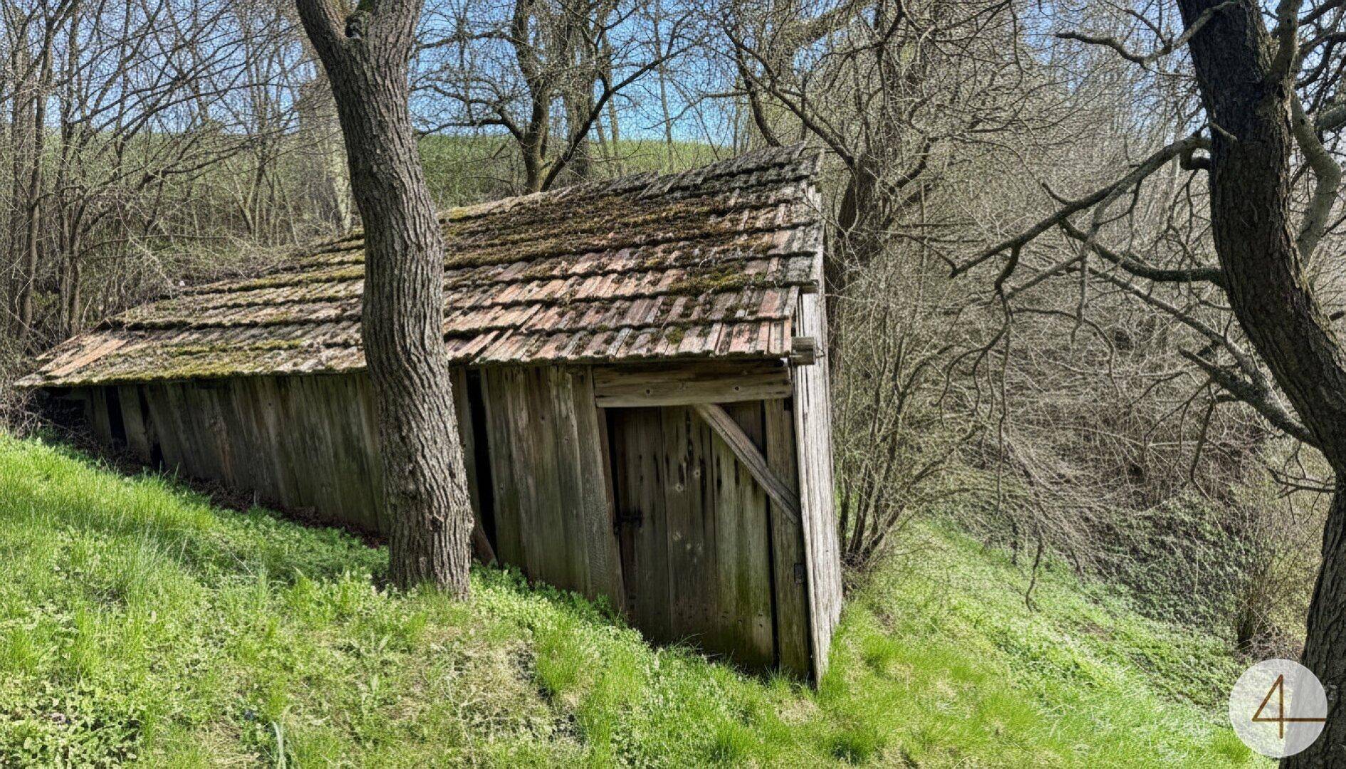 Alte, verwitterte Holzscheune mit moosigem Ziegeldach, eingebettet in einen grünen Hügel mit Bäumen.