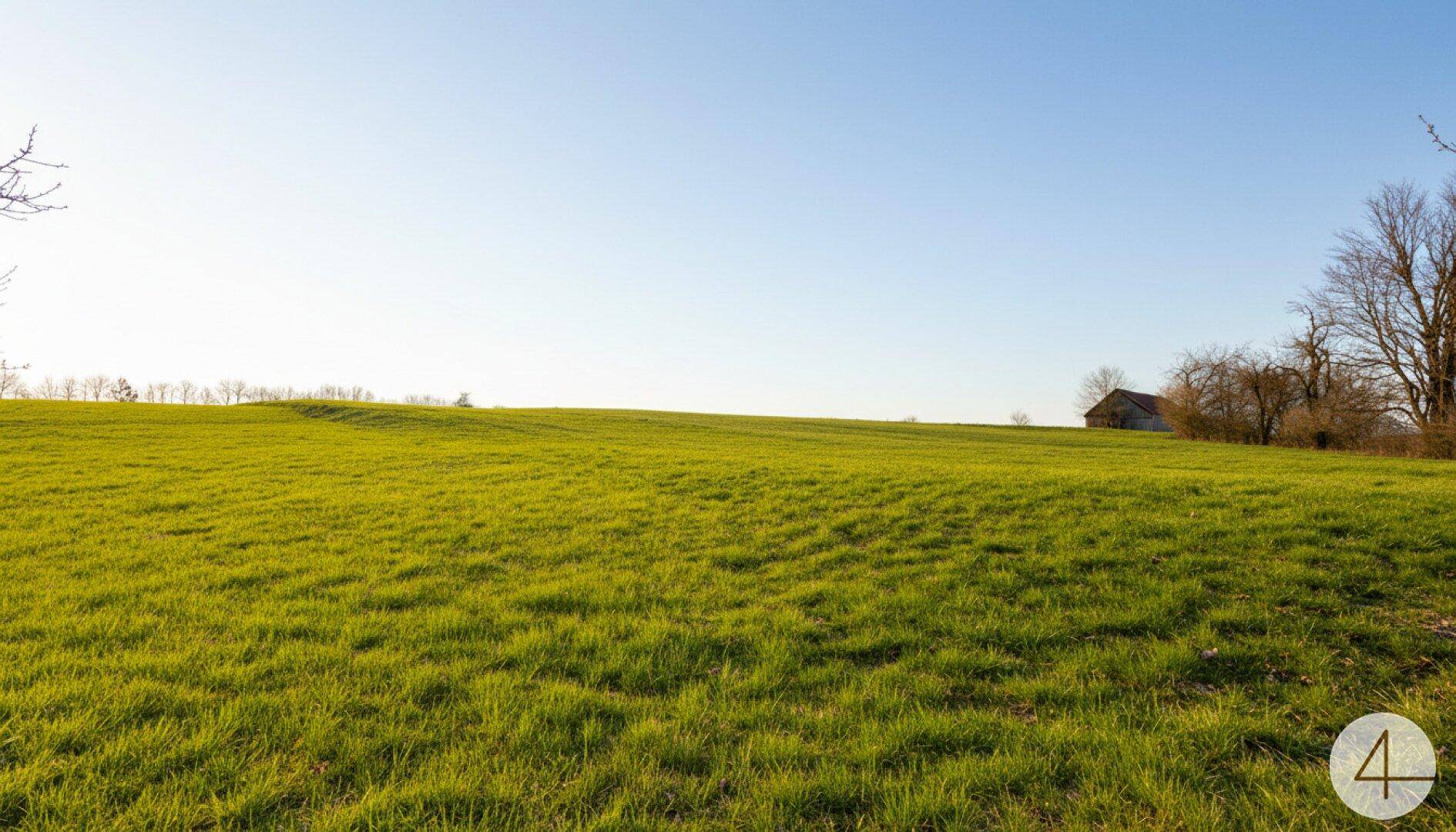 Weitläufige grüne Wiese unter einem klaren blauen Himmel mit einem kleinen Gebäude in der Ferne sichtbar.