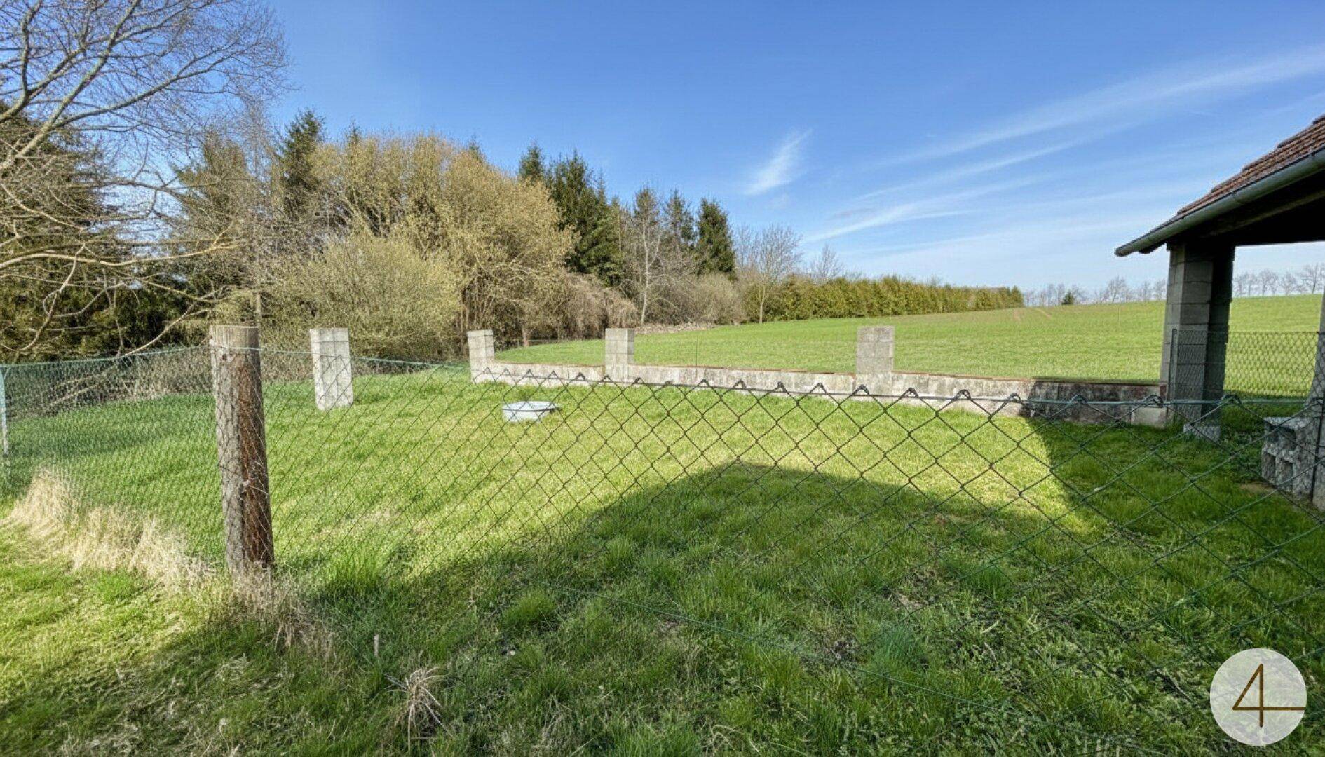Eingezäunter Bereich auf einer sonnigen grünen Wiese neben einem Unterstand mit Bäumen im Hintergrund.
