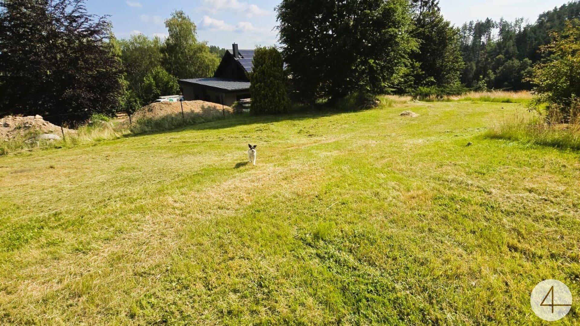 Weitläufige grüne Rasenfläche des Anwesens mit Blick auf das Haupthaus im Hintergrund.