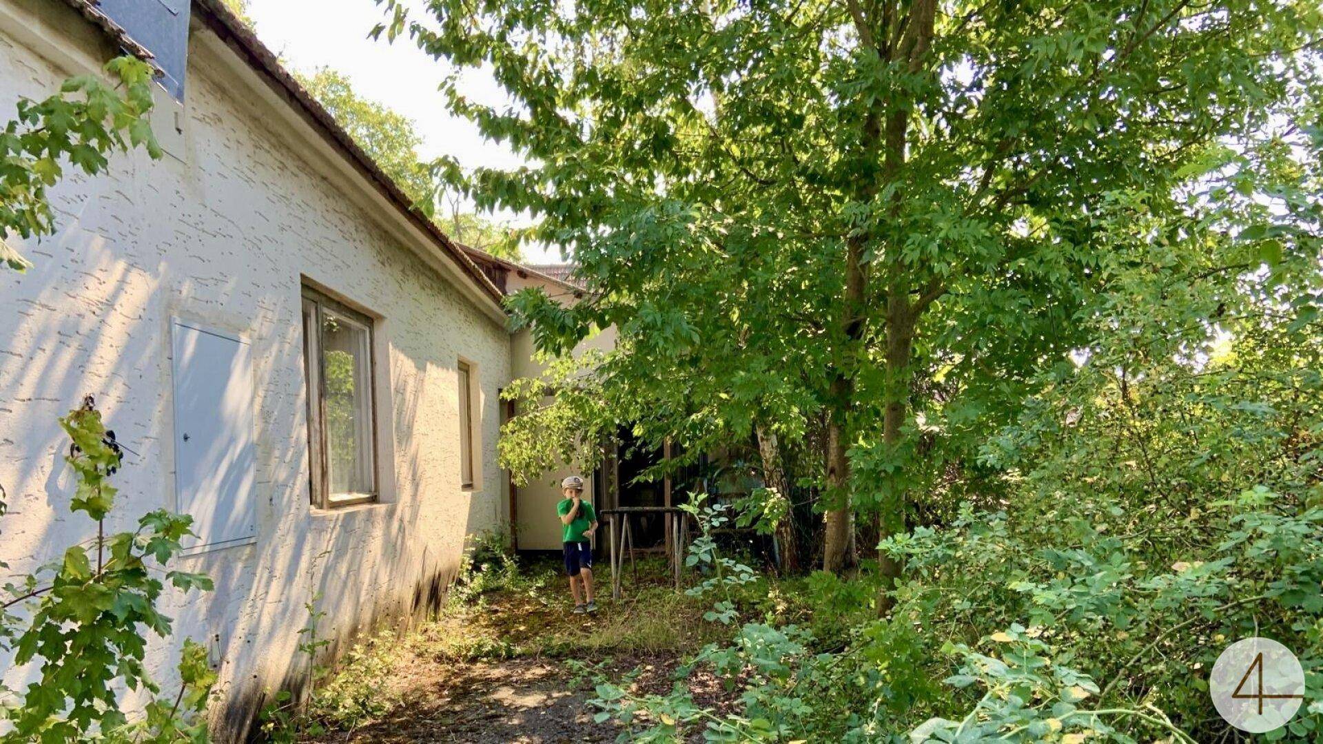 Außenansicht eines Hauses mit stark bewachsenem Garten und hohen Bäumen im Sommer.