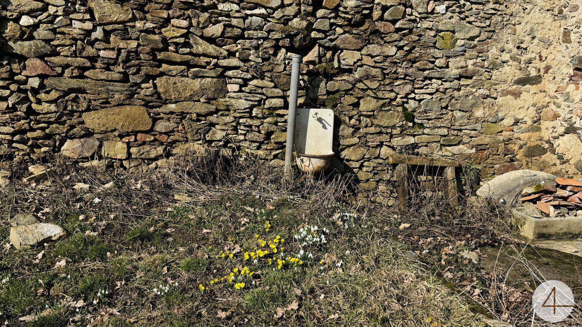 Rustikale Steinmauer mit einem alten Urinal und blühenden Frühlingsblumen im Vordergrund.