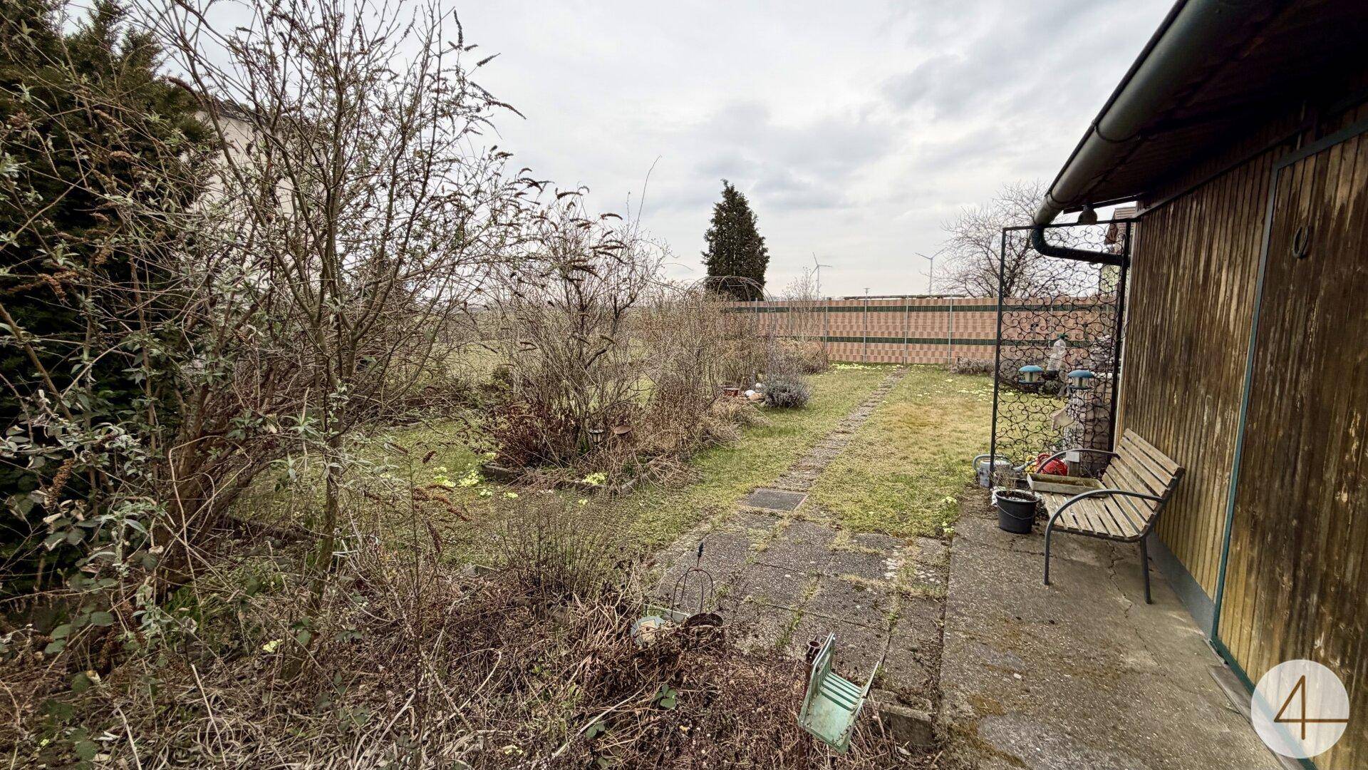 Weiterer Blick in den verwilderten Garten mit einem kleinen Weg und einer Holzbank.