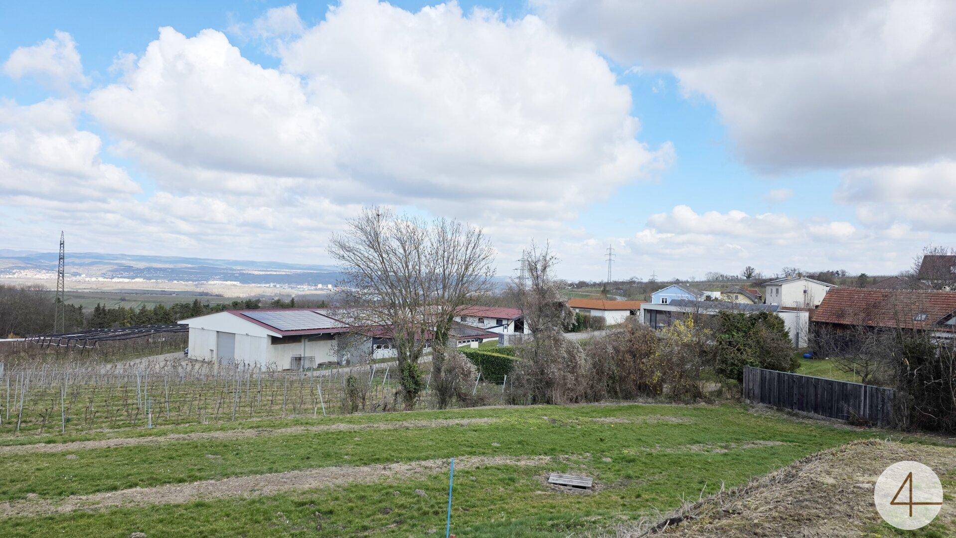 Blick über grüne Felder und Weinberge auf eine ländliche Bebauung in der Ferne unter bewölktem Himmel.
