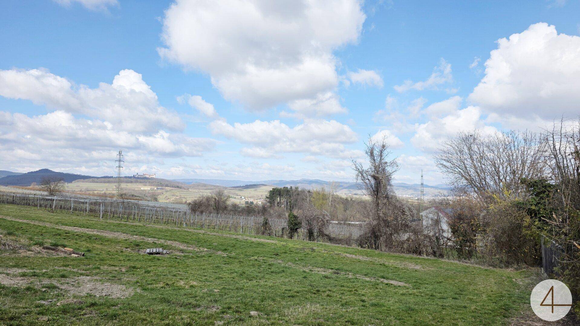 Panoramablick über sanfte Hügel, grüne Felder und Weinreben unter einem strahlend blauen Himmel mit Wolken.