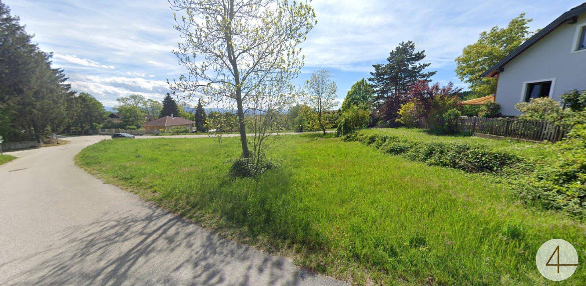Grünes Grundstück mit Bäumen und einem Haus im Hintergrund, umgeben von Natur.