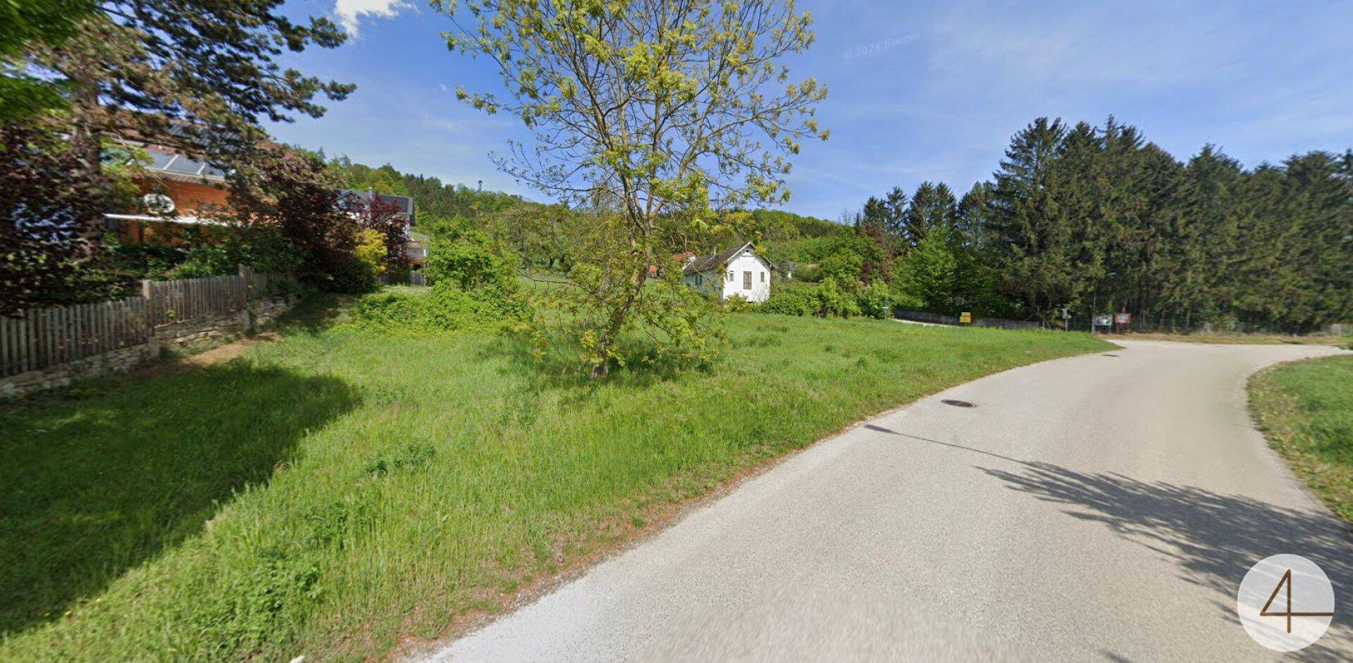 Weitläufiges grünes Grundstück an einer Straße, umgeben von Bäumen und ländlicher Idylle.
