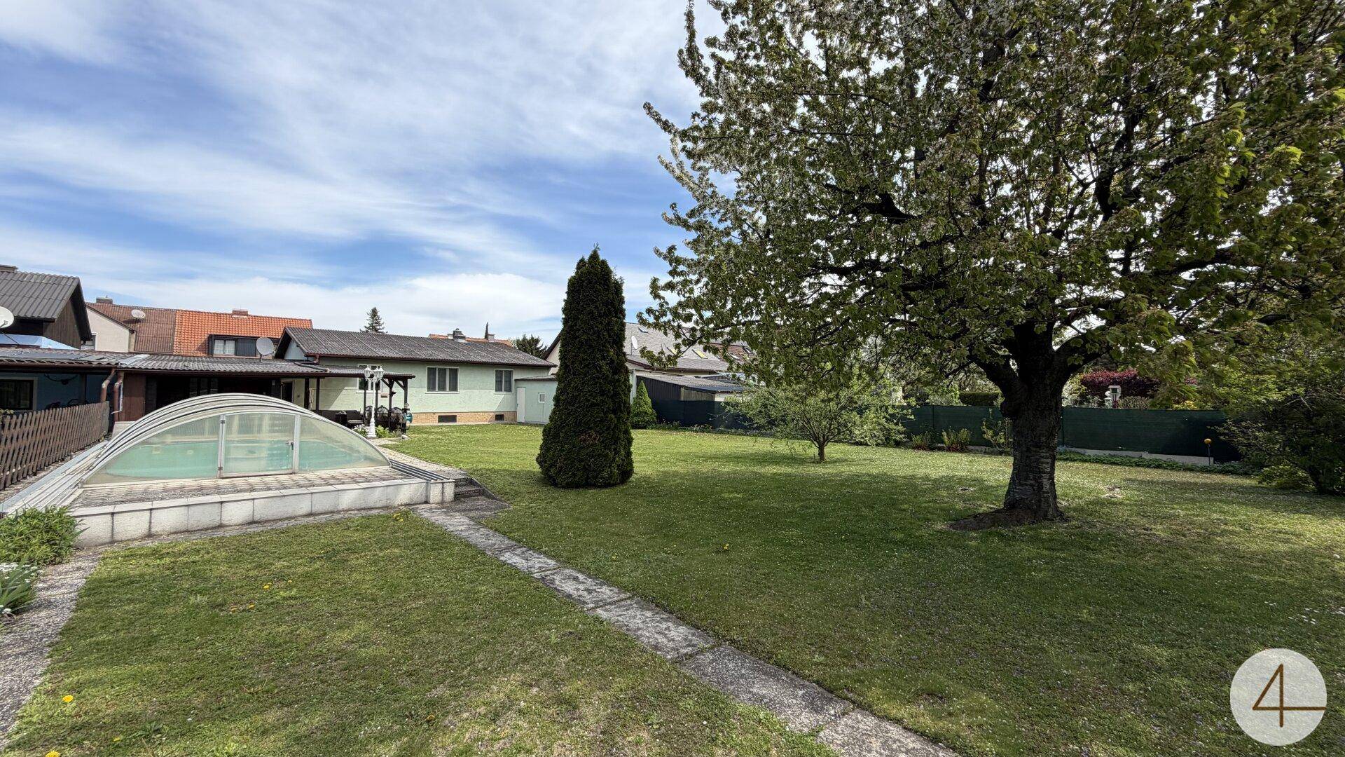 Sonniger Gartenbereich mit einem großen blühenden Baum, Rasen und dem überdachten Pool.