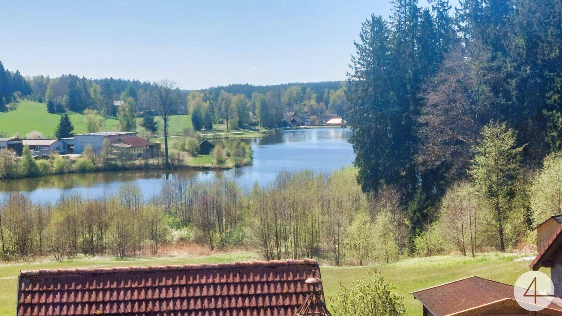 Weitläufiger Blick über einen ruhigen See und die umliegende grüne Landschaft mit bewaldeten Hügeln.