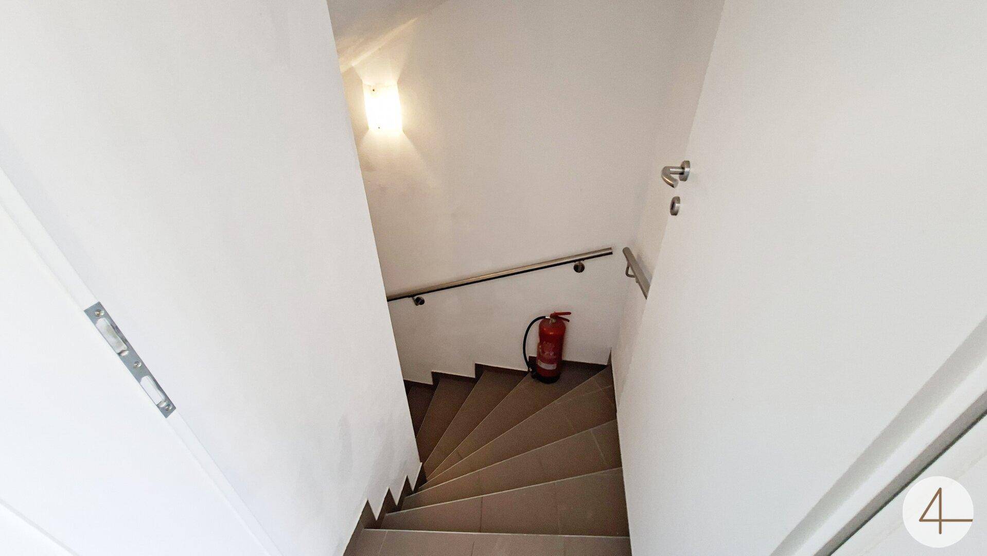 Treppenabgang in den Kellerbereich mit Fliesenboden und Handlauf.