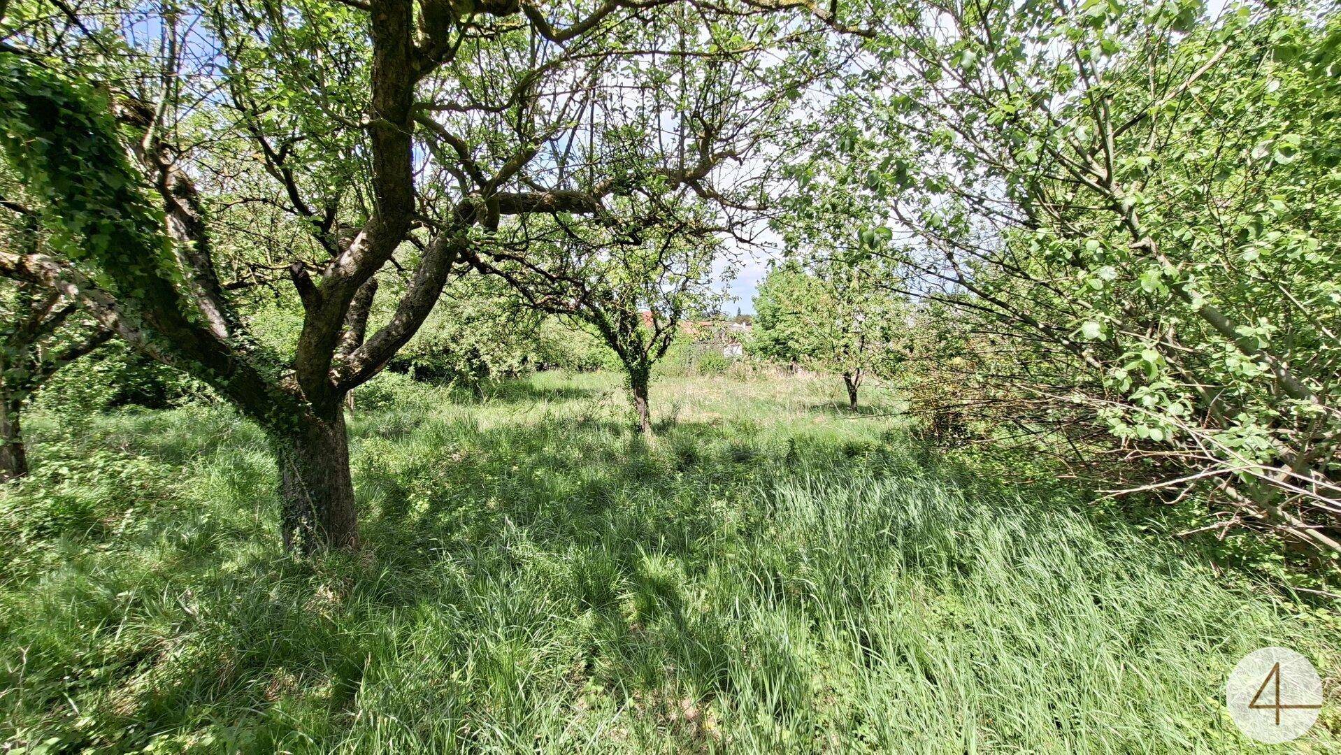 Baugrund in idyllischer Ruhelage, ohne Bauzwang - Ansicht 5