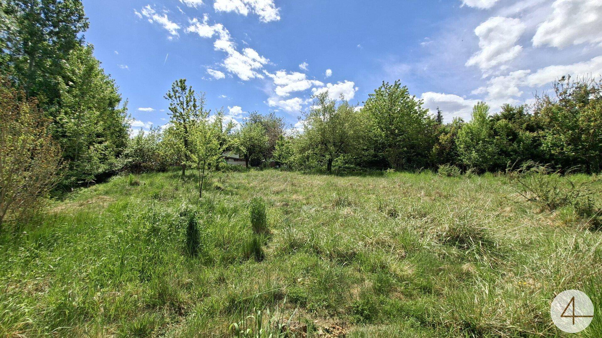 Großes, unberührtes Grundstück mit hohem Gras und verschiedenen Bäumen unter blauem Himmel.