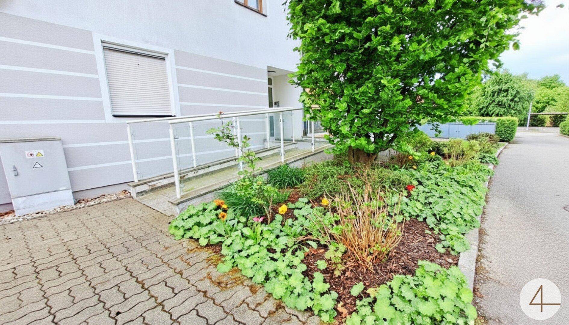 Seitlicher Bereich des Gebäudes mit gepflegtem Blumenbeet und Zugang zur Rampe.
