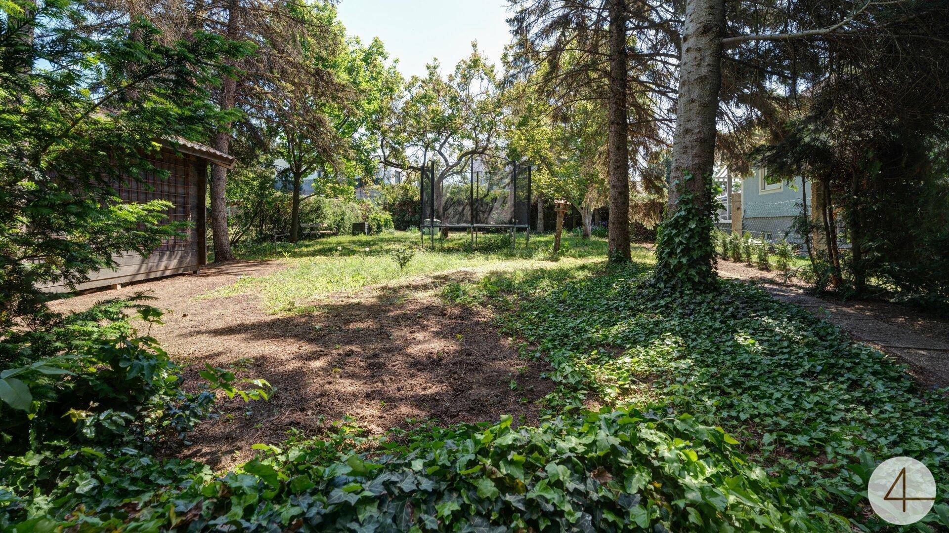 Weitläufiger Garten mit Rasenfläche, hohen Bäumen und einem Trampolin im Hintergrund für Freizeitaktivitäten.