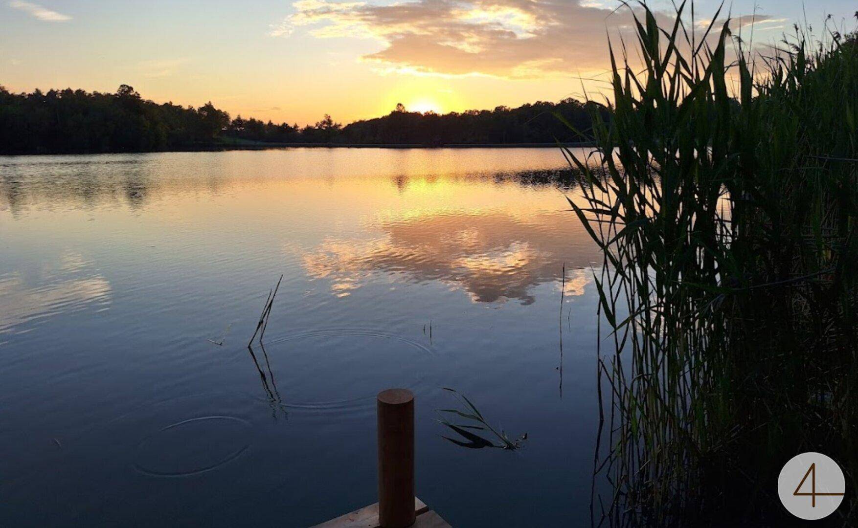 Malerischer Seeblick bei Sonnenuntergang mit Schilf im Vordergrund.