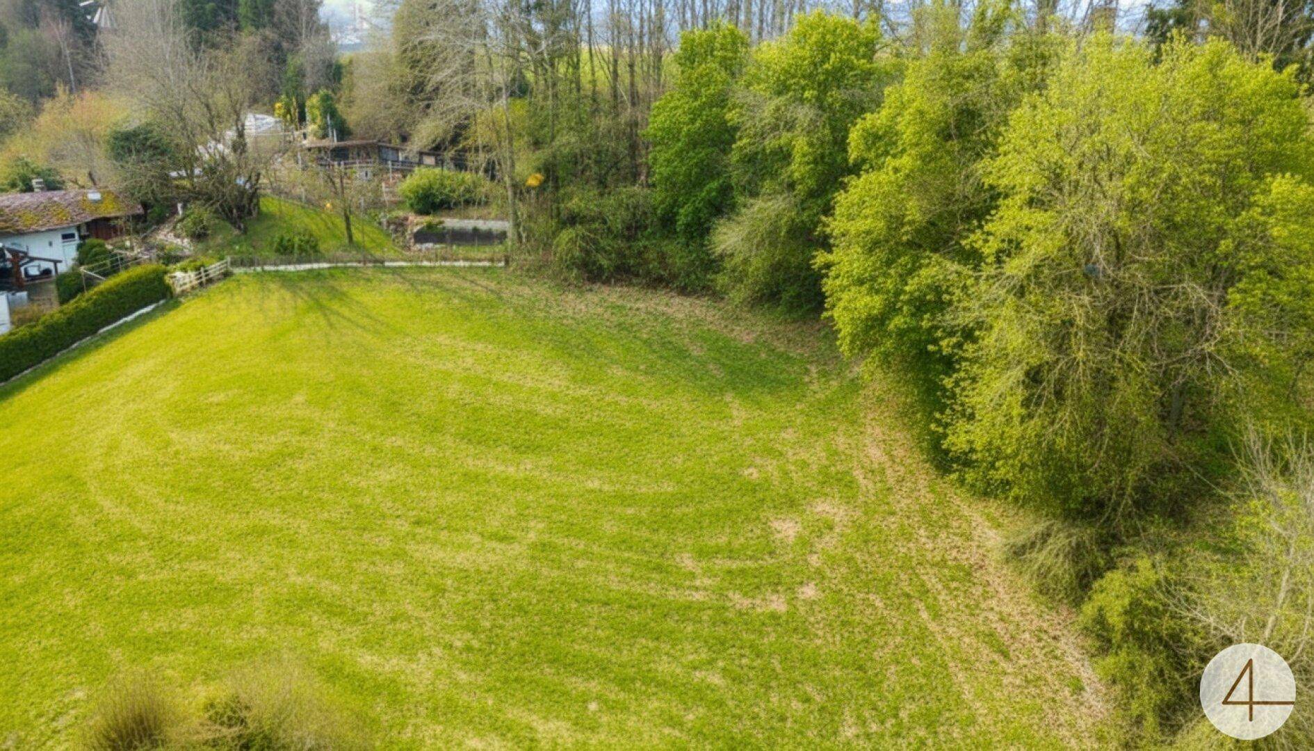 Weitläufiges grünes Feld mit Bäumen am Rand und Häusern in der Ferne.