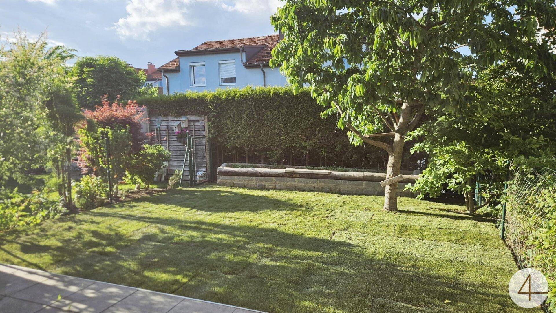 Gepflegter Gartenbereich mit Rasenfläche, Bäumen und einer hohen Hecke, ideal zum Entspannen im Freien.