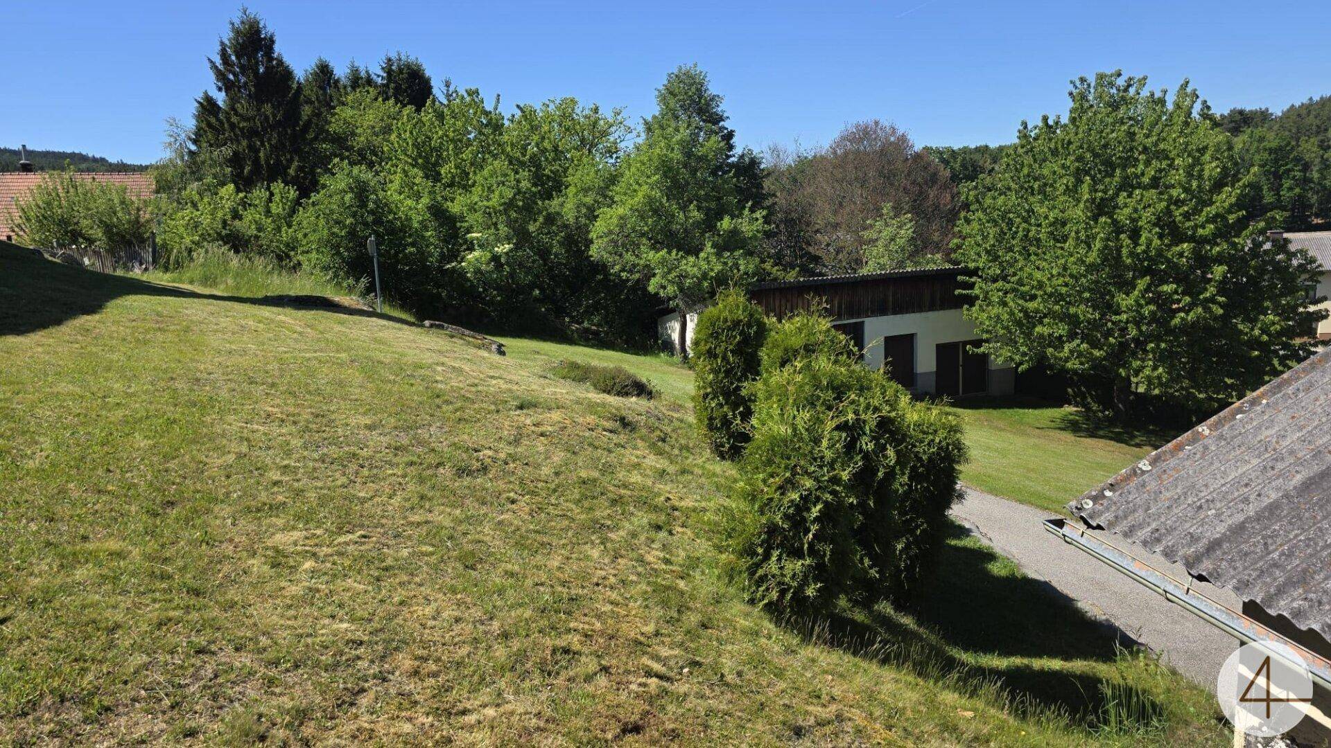 Grüne Wiese mit Bäumen und einem Gebäude im Hintergrund unter blauem Himmel.