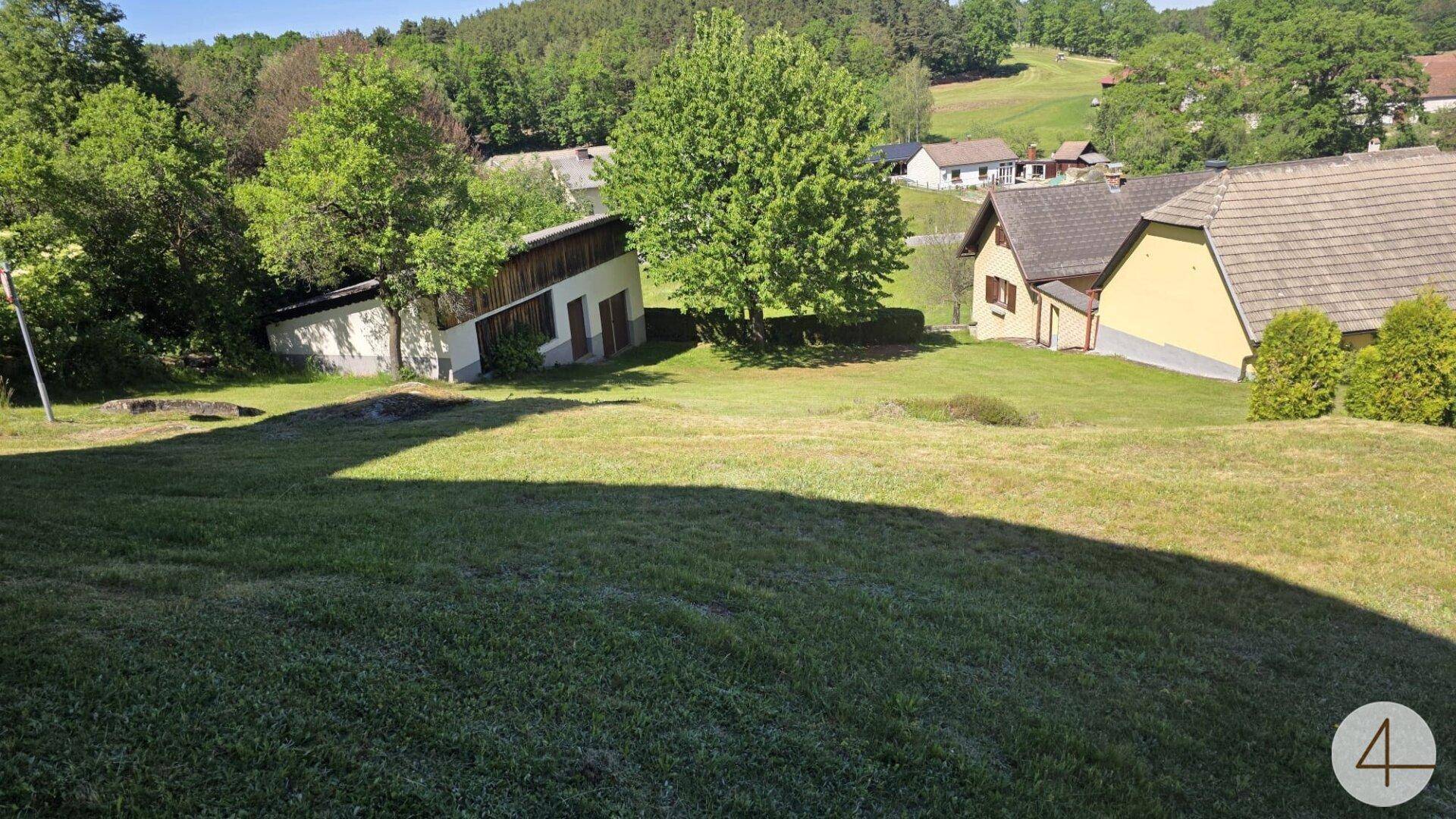 Weitläufige grüne Wiese mit Bäumen und mehreren Häusern in der Ferne an einem sonnigen Tag.