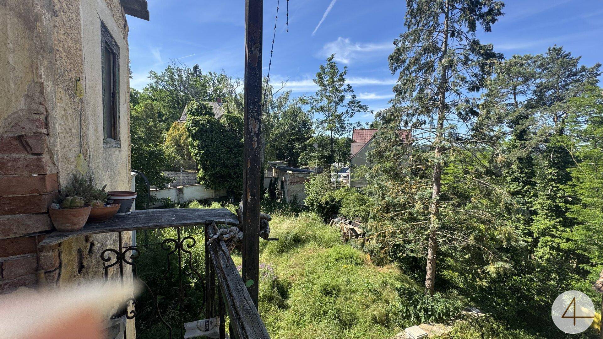 Weitläufiger Blick über einen verwilderten Gartenbereich mit hohen Bäumen und angrenzenden Häusern unter blauem Himmel.