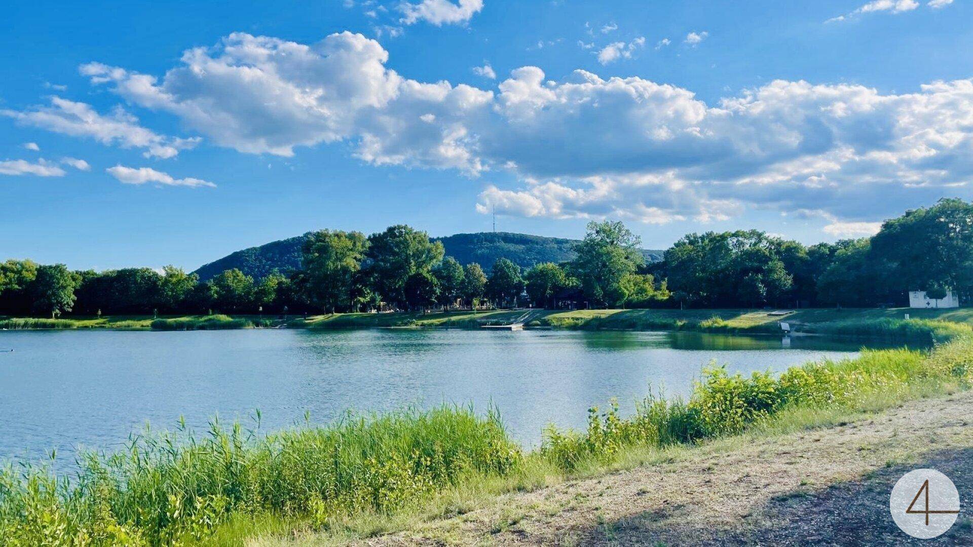 Idyllischer See mit grünen Ufern und bewaldeten Bergen unter einem strahlend blauen Himmel.