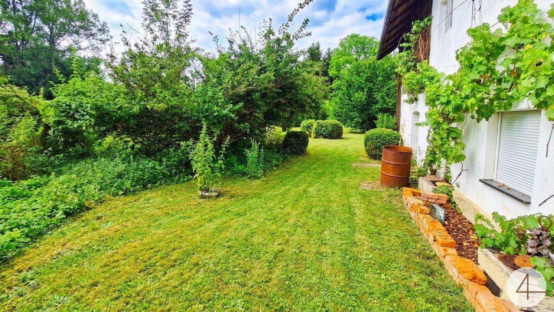 Grüner Gartenbereich neben dem Haus mit üppiger Vegetation, Sträuchern und einem alten Fass.