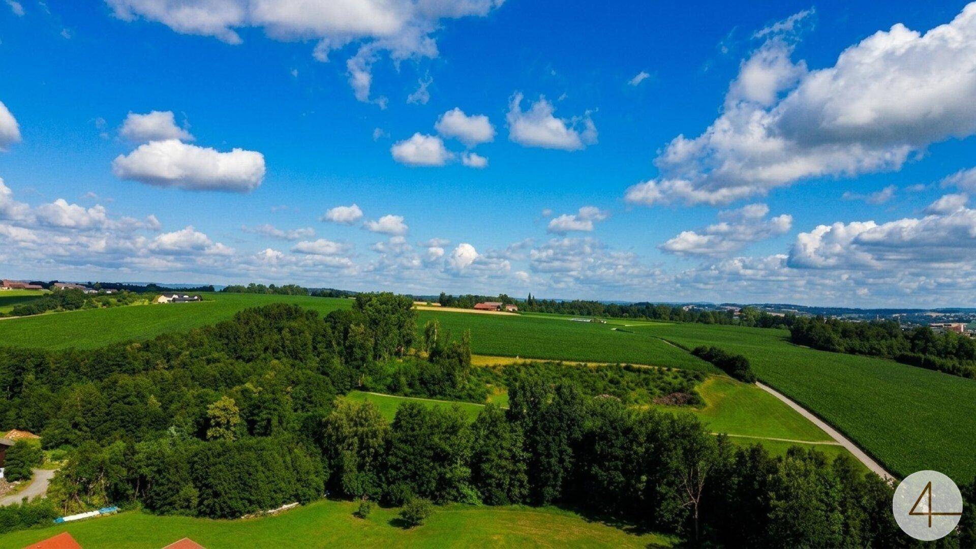Weitläufige ländliche Landschaft mit grünen Feldern, Wäldern und einem klaren blauen Himmel.