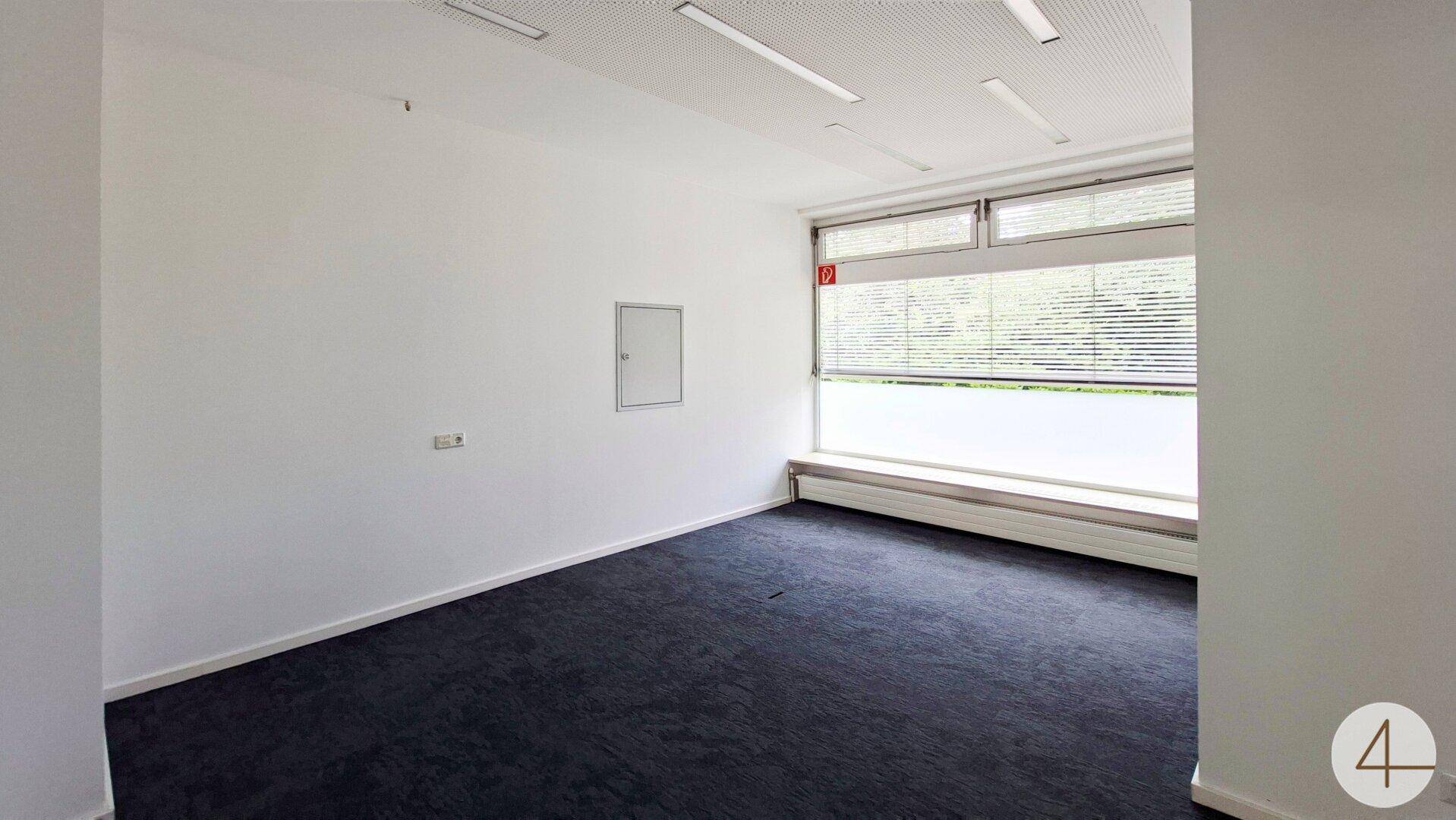 Heller Raum mit dunklem Teppichboden und Fenster mit Jalousien, bietet Privatsphäre und Licht.