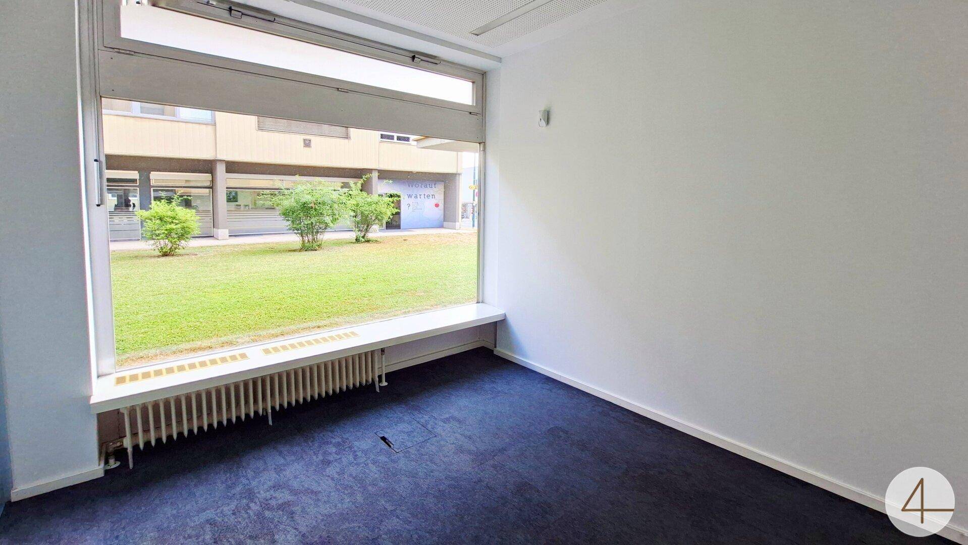 Heller Raum mit dunklem Teppichboden und großem Fenster mit Blick auf einen grünen Innenhof.