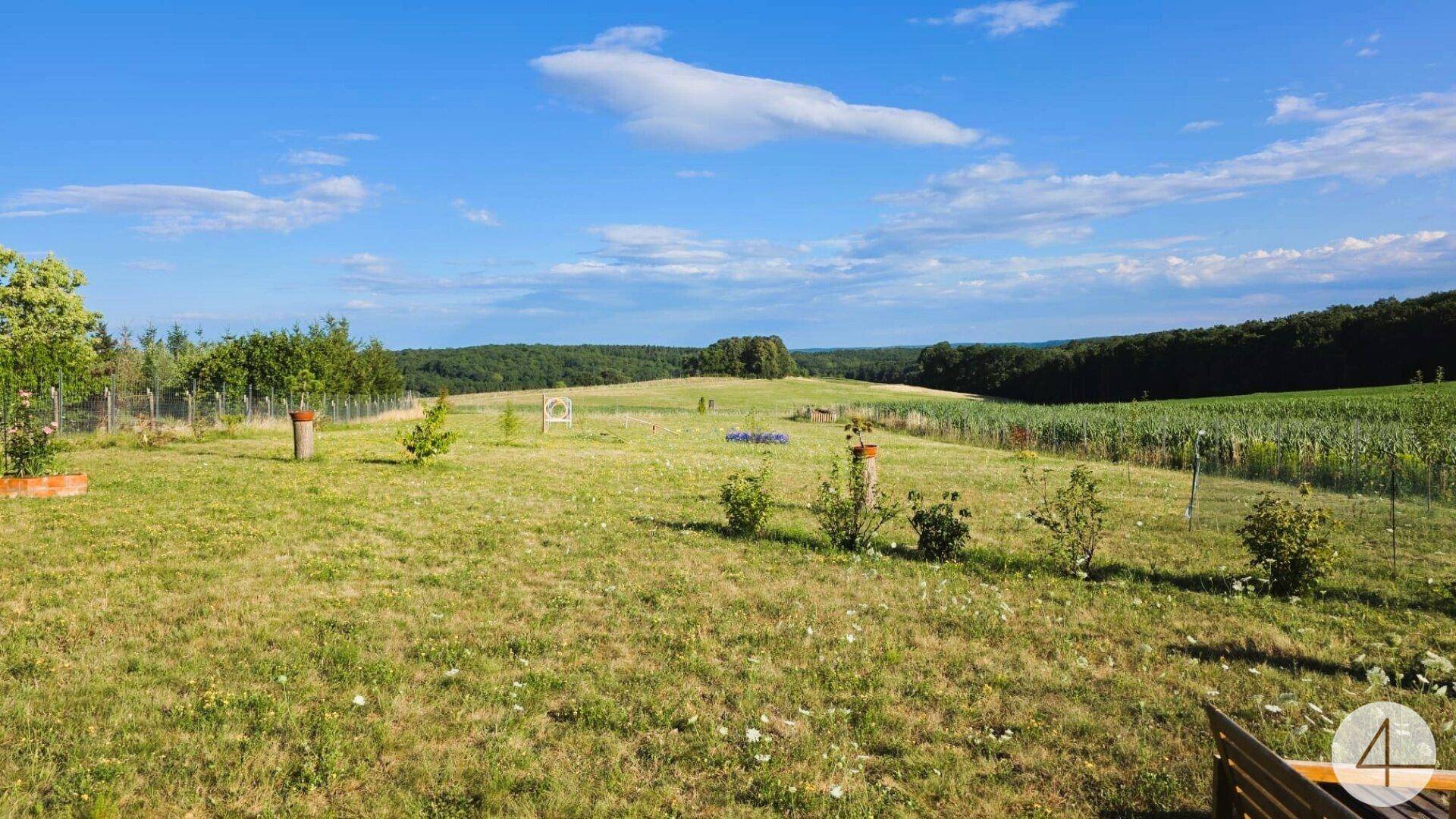 Weitläufige grüne Landschaft mit sanften Hügeln und Bäumen im Hintergrund.