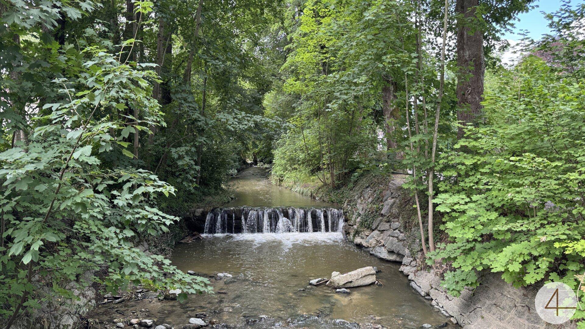 Natur pur vor der Türe
