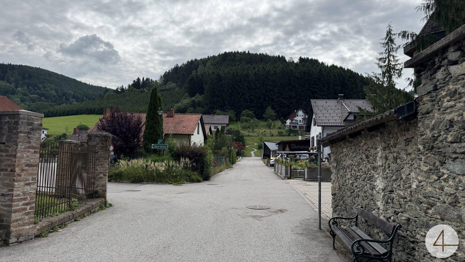 Blick auf eine Dorfstraße mit Wohnhäusern und bewaldeten Hügeln im Hintergrund unter bewölktem Himmel.