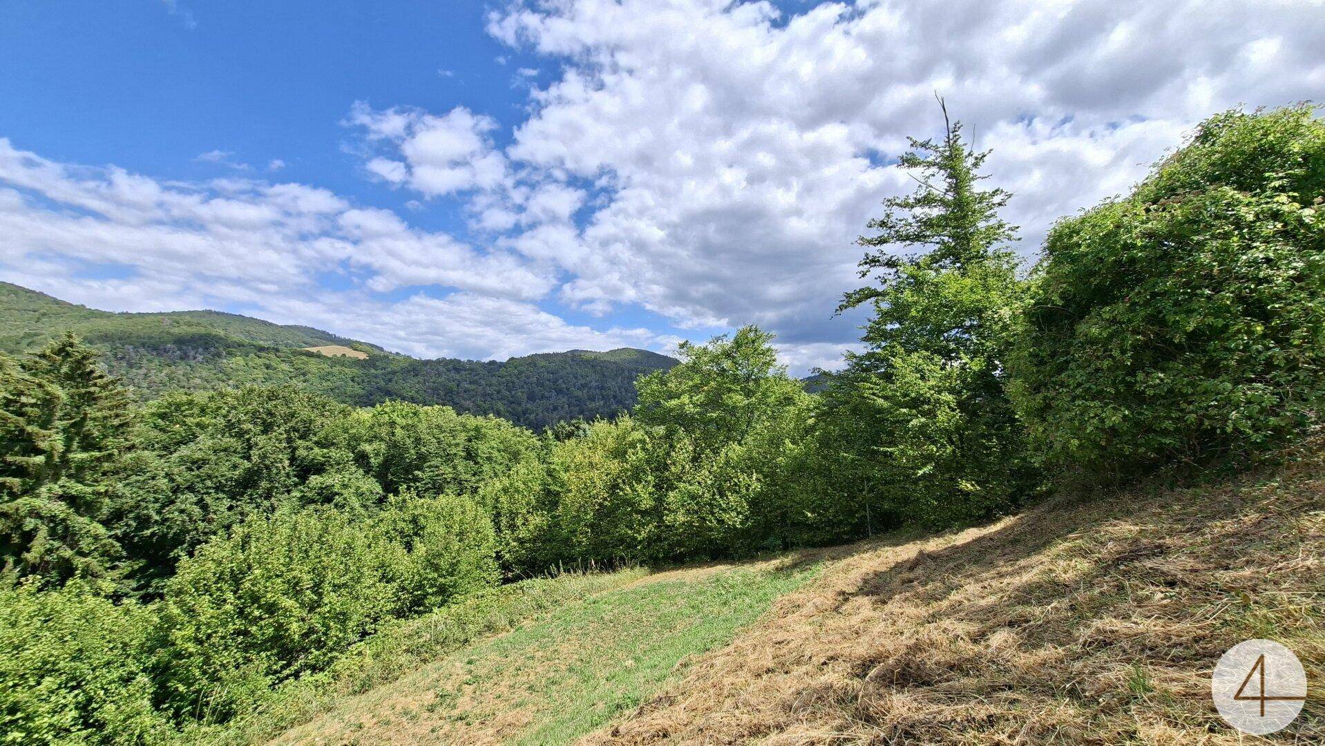 Weitläufiger Ausblick über die bewaldeten Hügel und Täler unter einem blauen Himmel.