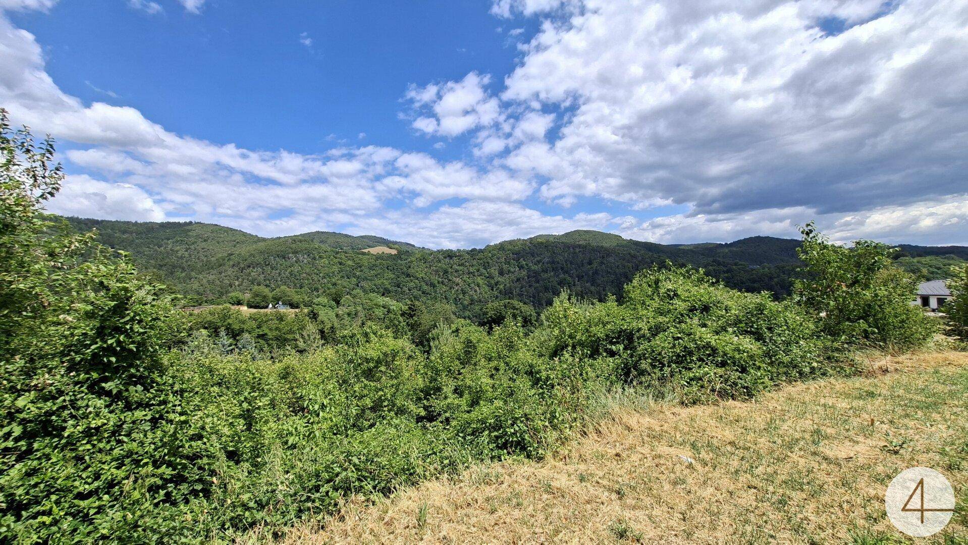 Blick auf die üppige grüne Vegetation und die sanften Hügel in der Ferne.