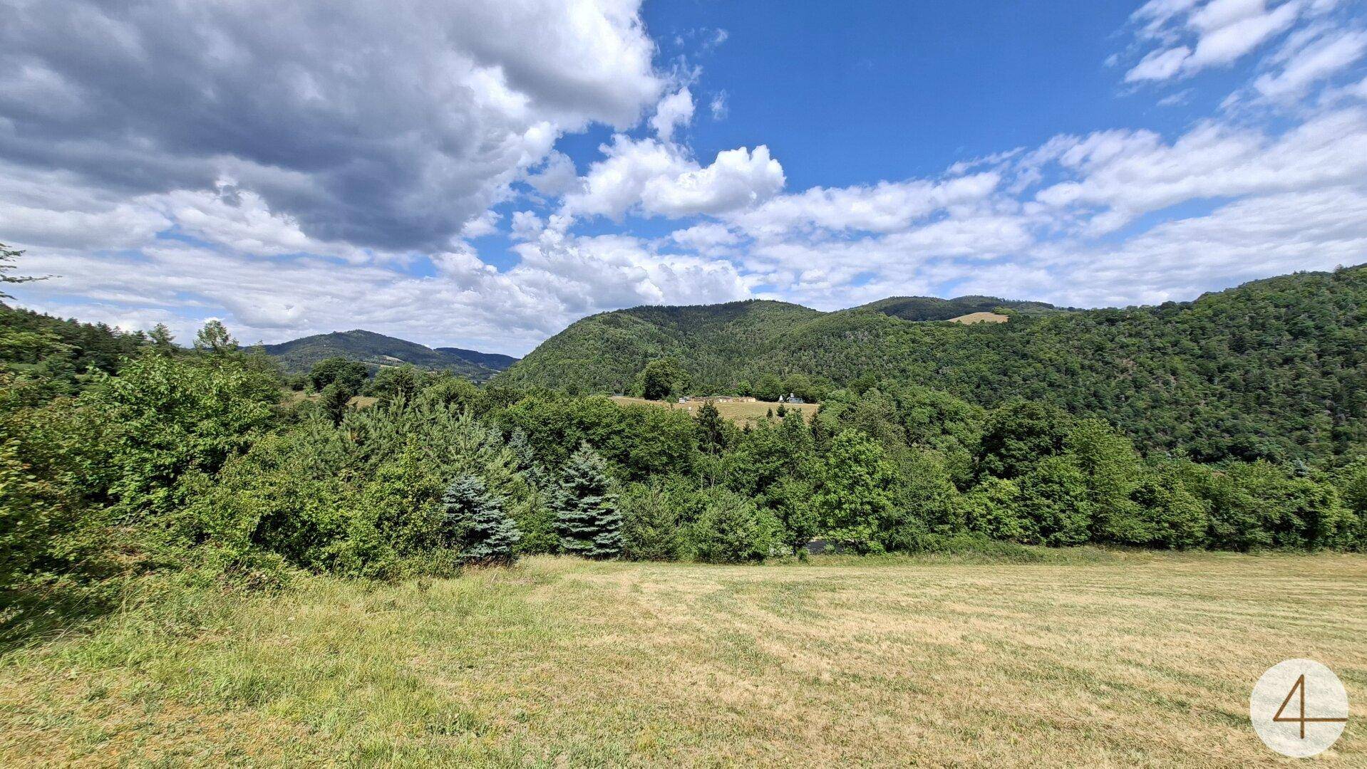 Weitläufiges Feld mit Blick auf die dichten Wälder und die umliegenden Berge.