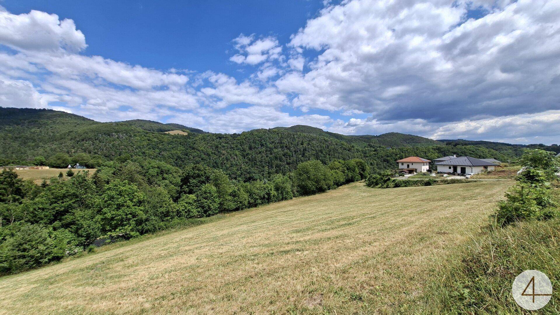 Großes Feld mit Blick auf die bewaldeten Hügel und zwei Wohnhäuser in der Ferne.