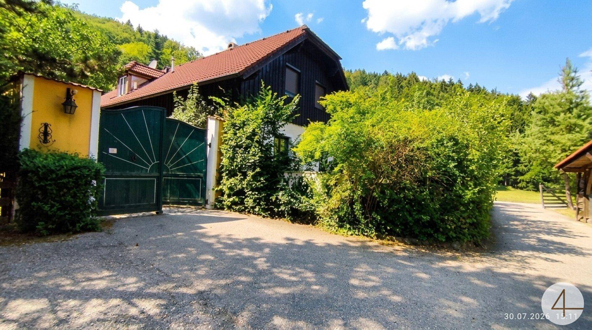 Zufahrt zum Anwesen mit großem grünen Tor, umgeben von Bäumen und Sträuchern in ländlicher Umgebung.