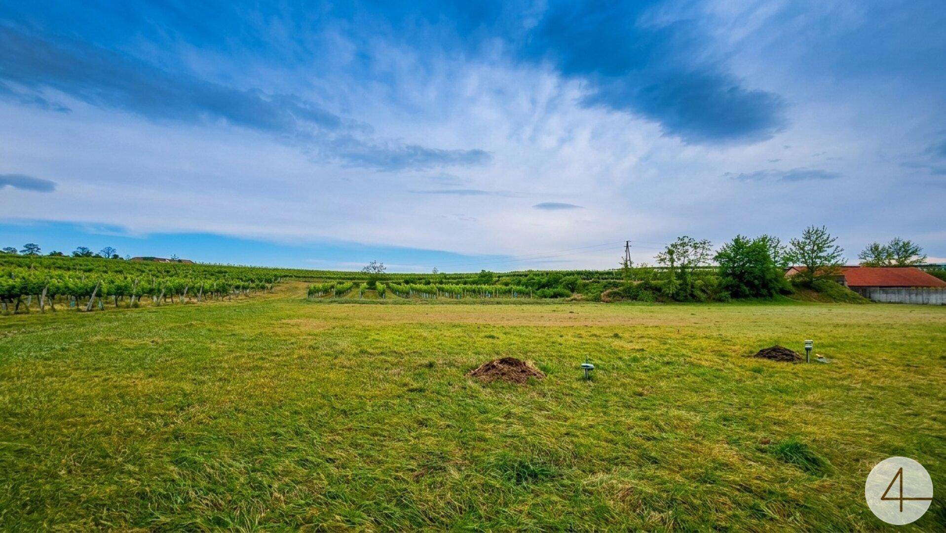 Weitläufiges grünes Feld mit Weinbergen im Hintergrund unter einem dramatischen blauen Himmel.