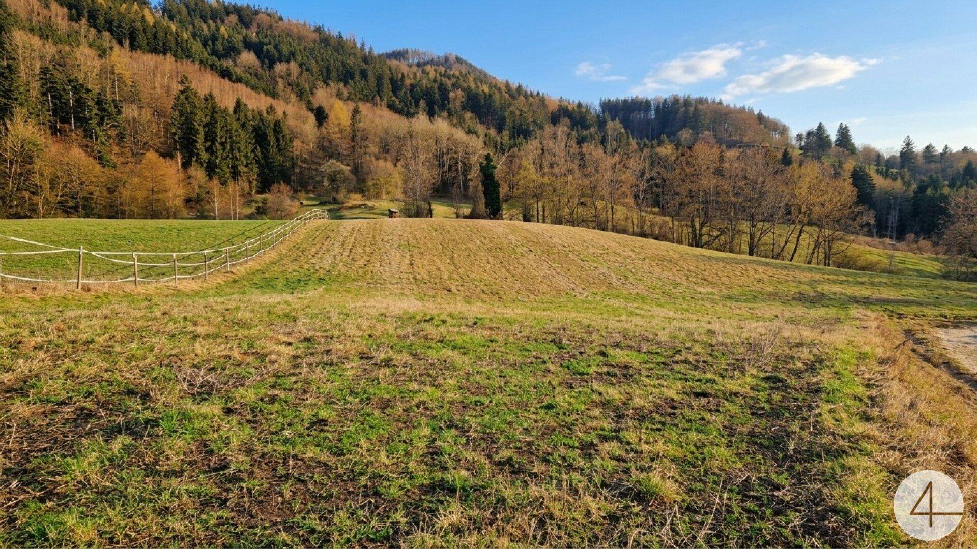 Weitläufige grüne und braune Felder mit einem Zaun und bewaldeten Hügeln im Hintergrund.